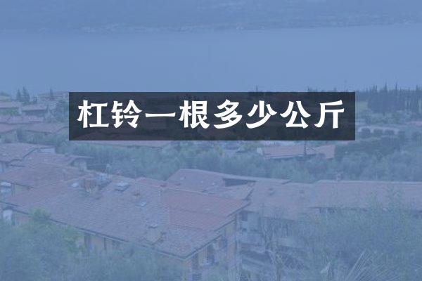 杠铃一根多少公斤