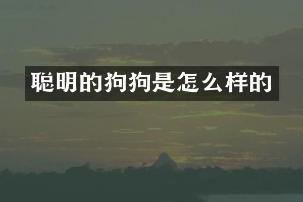 聪明的狗狗是怎么样的