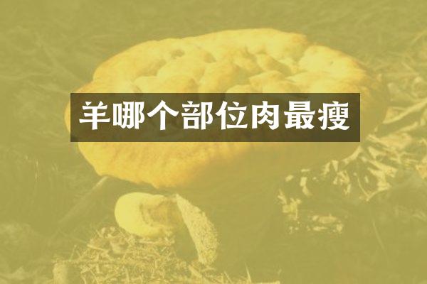 羊哪个部位肉最瘦