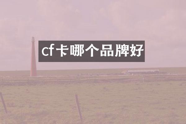cf卡哪个品牌好