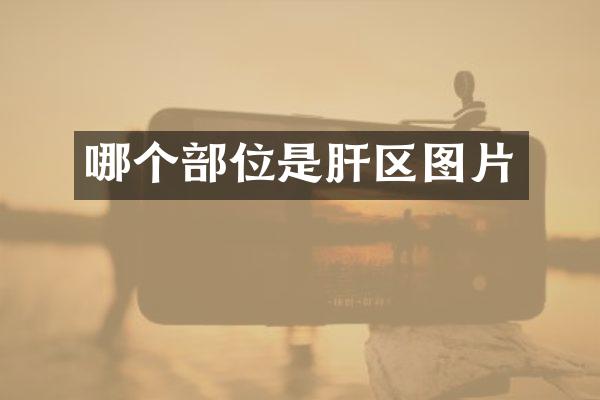 哪个部位是肝区图片