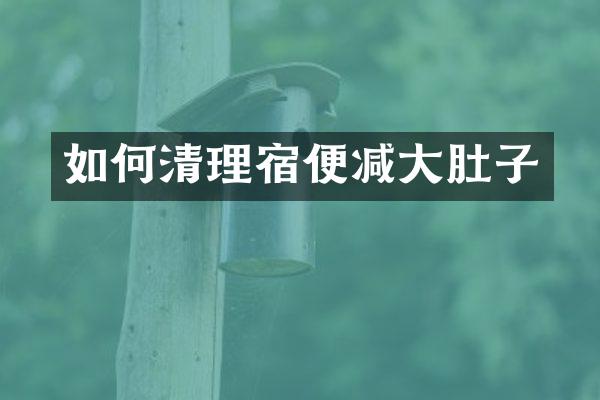 如何清理宿便减大肚子