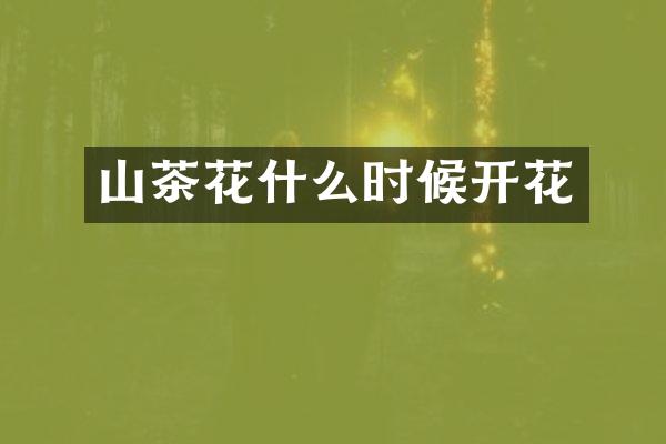 山茶花什么时候开花