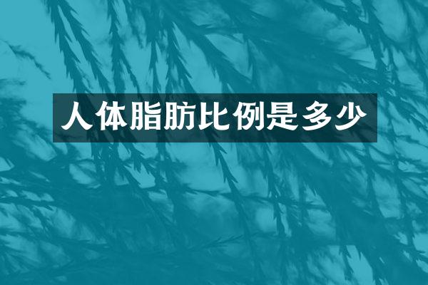 人体脂肪比例是多少
