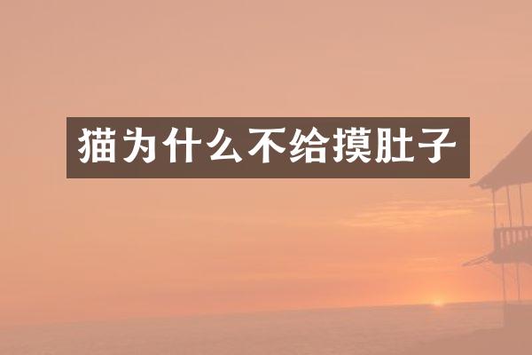 猫为什么不给摸肚子