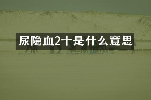 尿隐血2十是什么意思