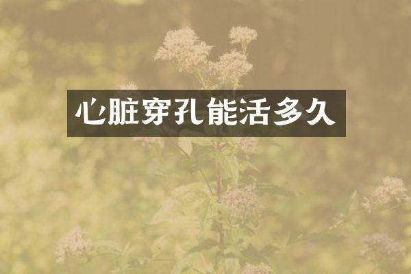 心脏穿孔能活多久