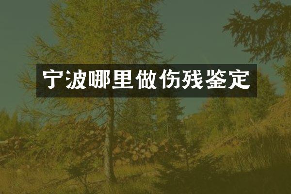 宁波哪里做伤残鉴定