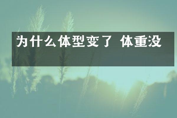 为什么体型变了 体重没变