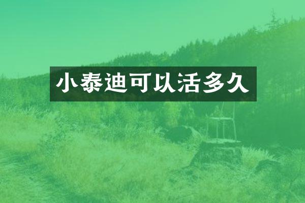 小泰迪可以活多久