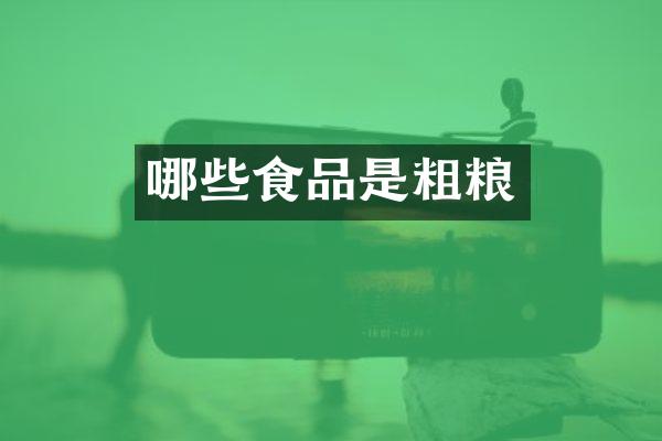 哪些食品是粗粮