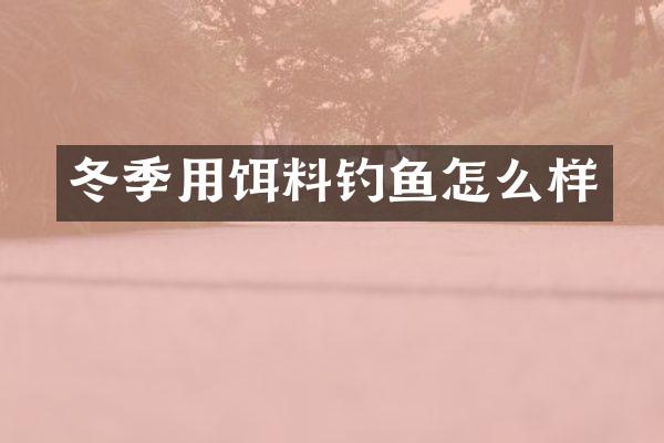 冬季用饵料钓鱼怎么样