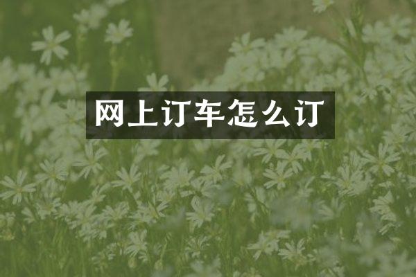 网上订车怎么订