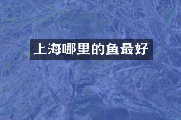 上海哪里的鱼最好