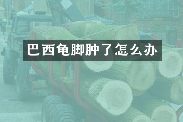 巴西龟脚肿了怎么办