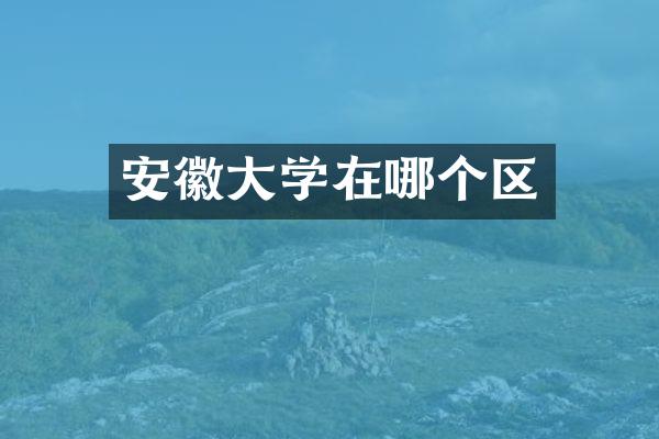 安徽大学在哪个区