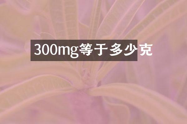 300mg等于多少克