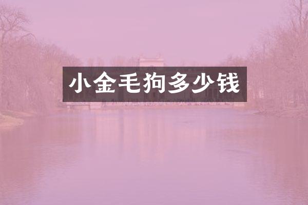小金毛狗多少钱