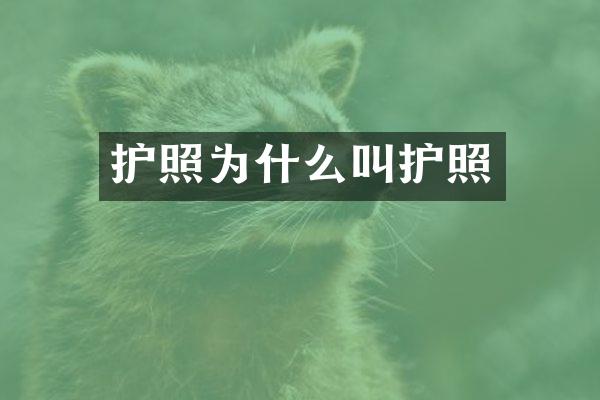 护照为什么叫护照