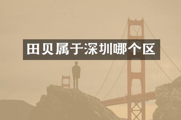 田贝属于深圳哪个区