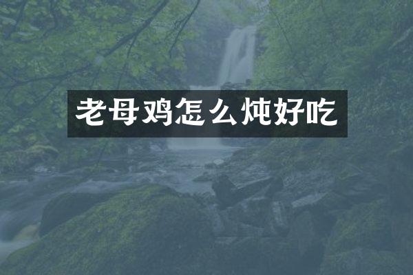 老母鸡怎么炖好吃