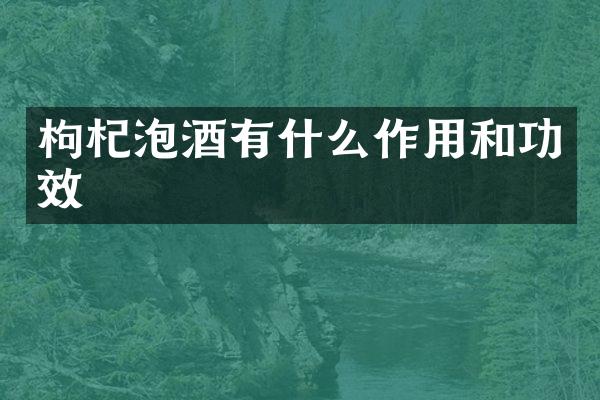 枸杞泡酒有什么作用和功效