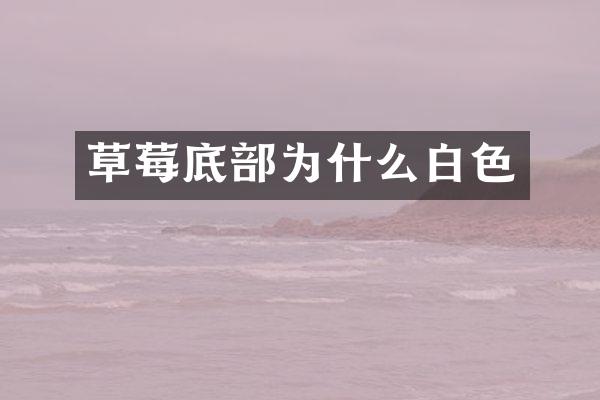 草莓底部为什么白色