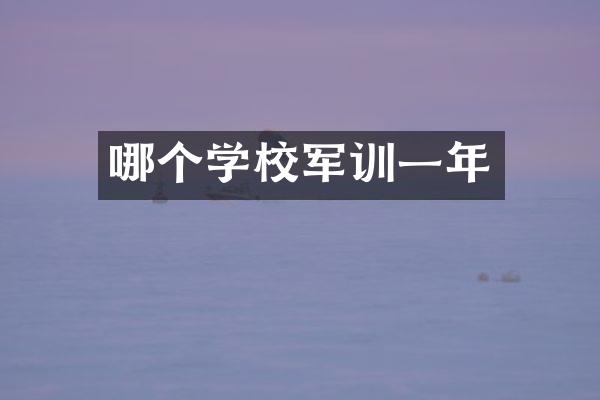 哪个学校军训一年
