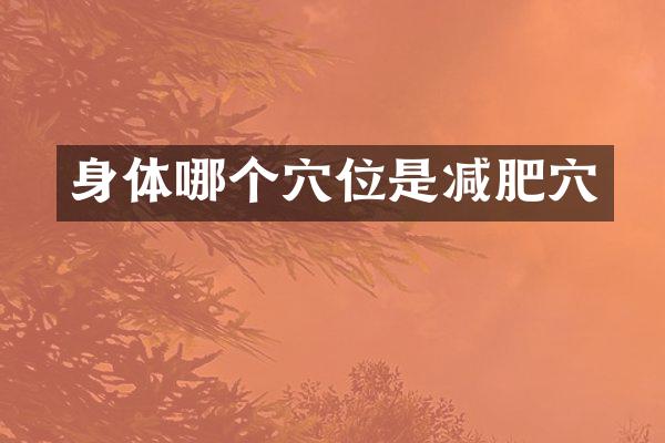 身体哪个穴位是减肥穴