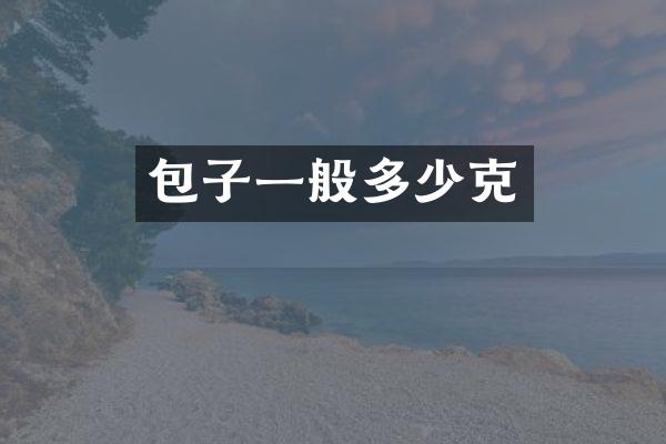 包子一般多少克