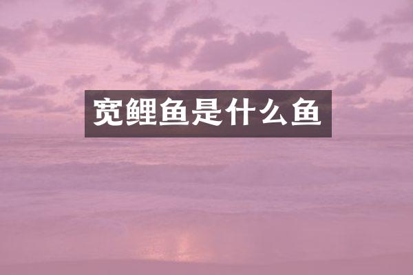 宽鲤鱼是什么鱼