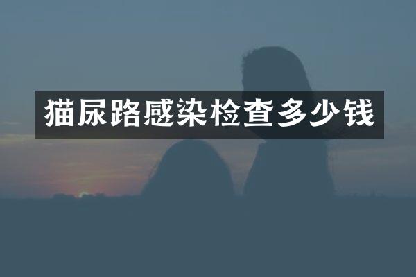 猫尿路感染检查多少钱