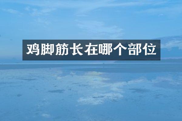 鸡脚筋长在哪个部位