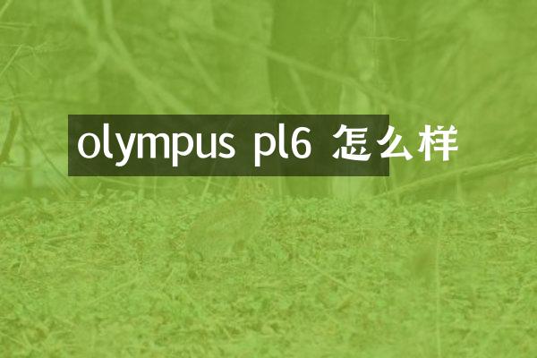 olympus pl6 怎么样