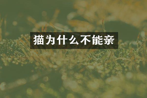 猫为什么不能亲