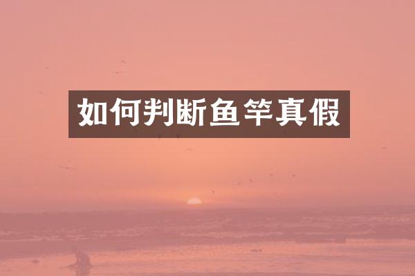如何判断鱼竿真假