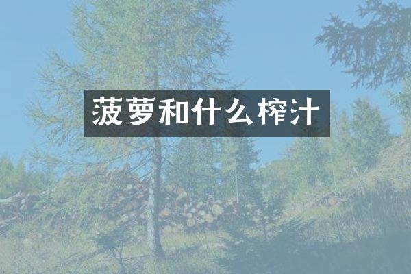 菠萝和什么榨汁