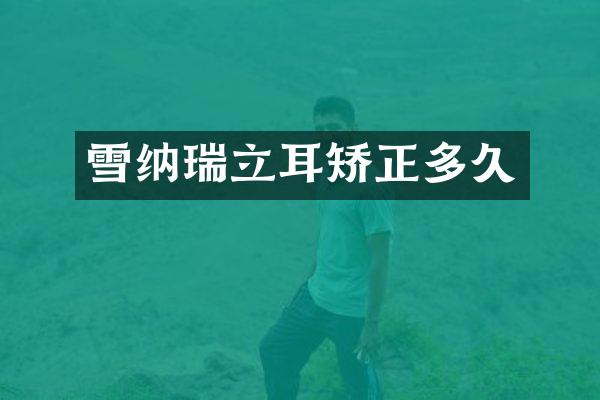 雪纳瑞立耳矫正多久