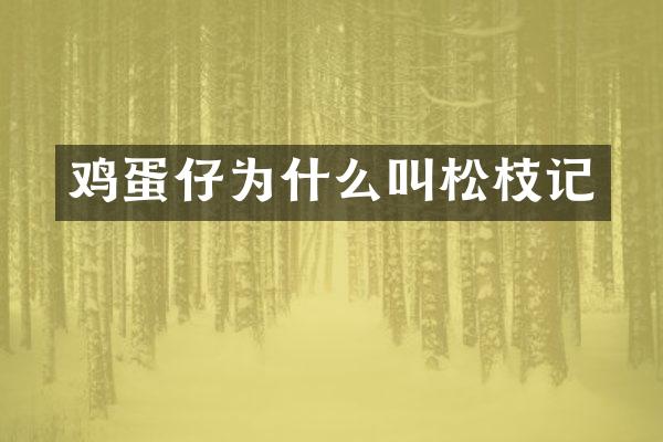 鸡蛋仔为什么叫松枝记