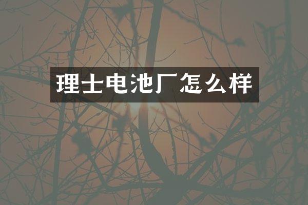 理士电池厂怎么样