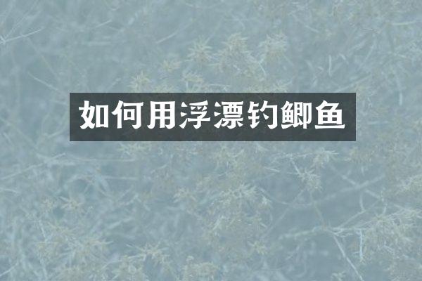 如何用浮漂钓鲫鱼