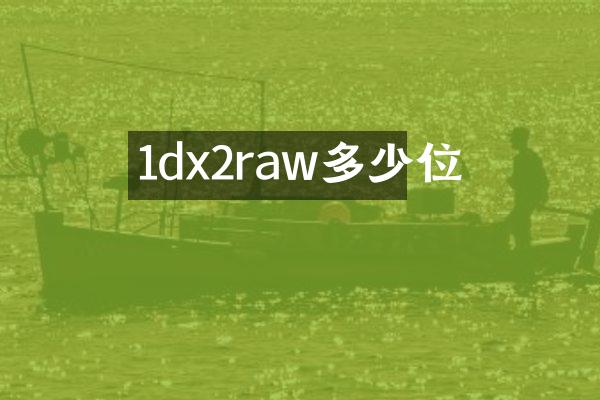 1dx2raw多少位