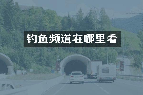 钓鱼频道在哪里看