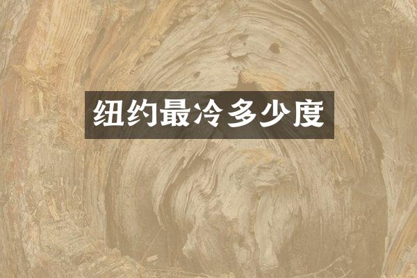 纽约最冷多少度