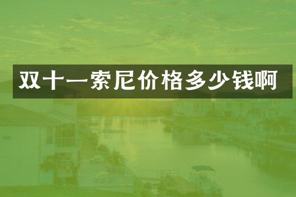 双十一索尼价格多少钱啊