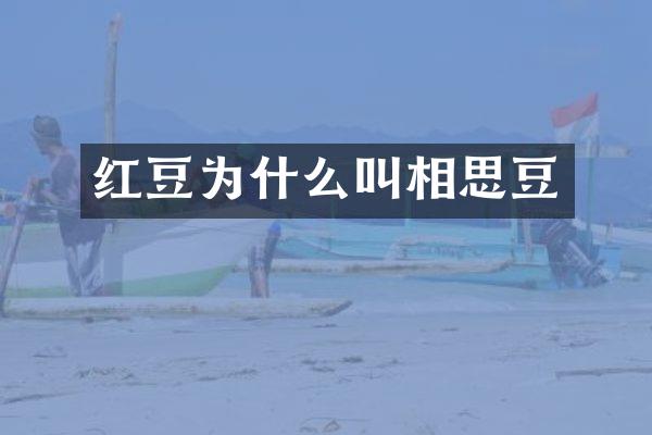 红豆为什么叫相思豆