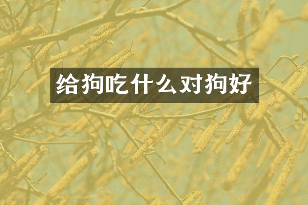 给狗吃什么对狗好