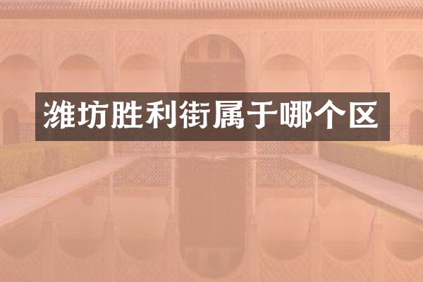 潍坊胜利街属于哪个区