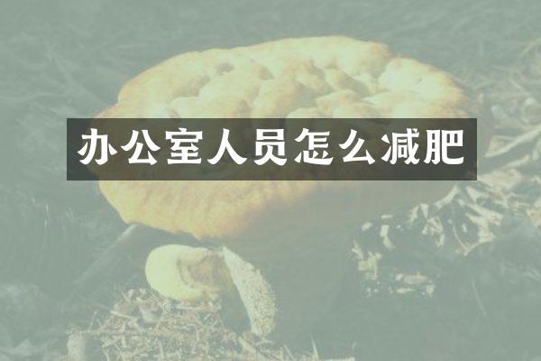 办公室人员怎么减肥
