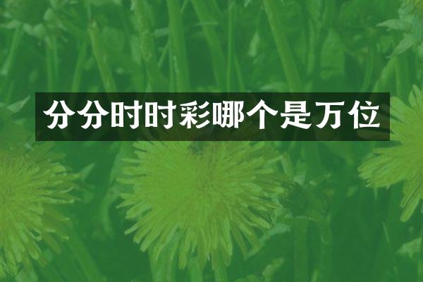 分分时时彩哪个是万位